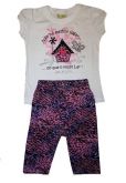Conjunto Dona Onça